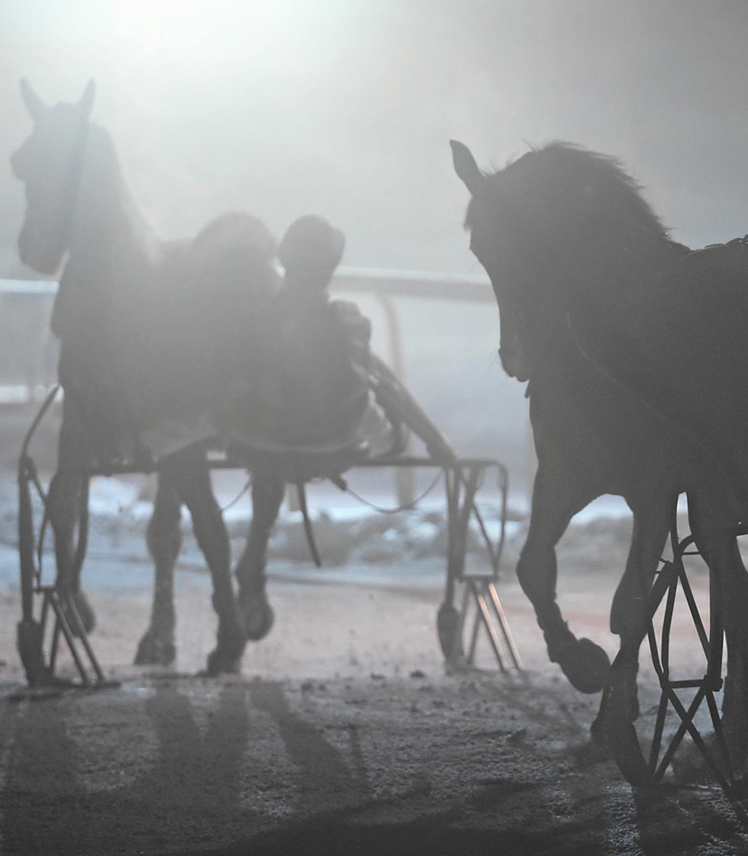 Night Turf St. Moritz