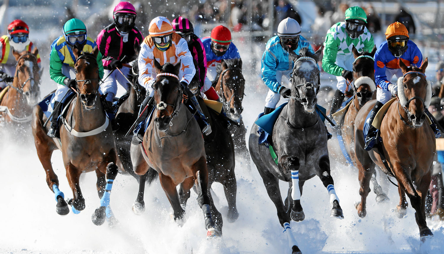 White Turf St. Moritz
