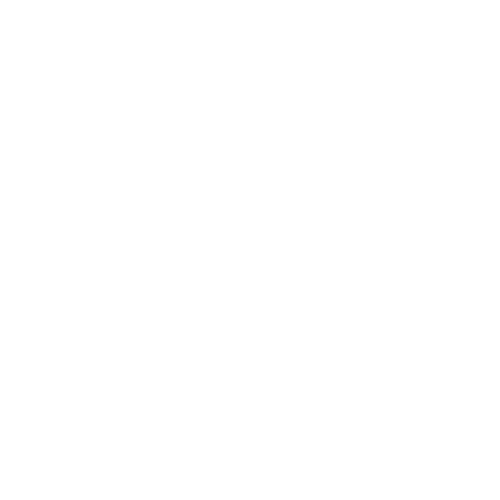 Fiat Group