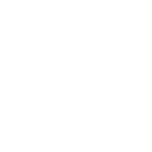 Swissski